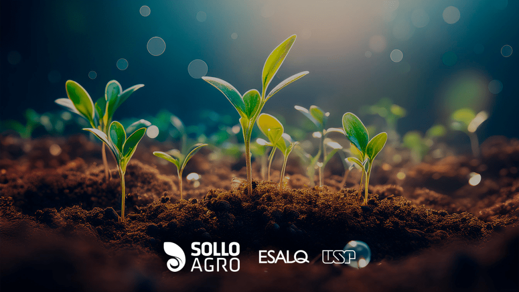 Qualidade do solo entenda o conceito e quais indicadores usar Imagem do conteudo SolloAgro