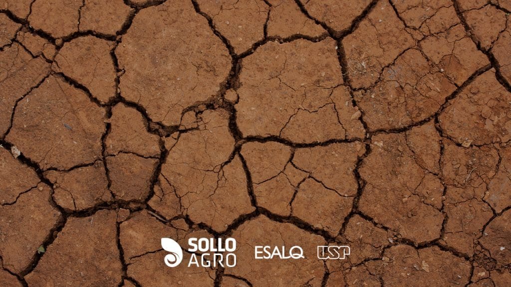 Imagem do conteudo SolloAgro