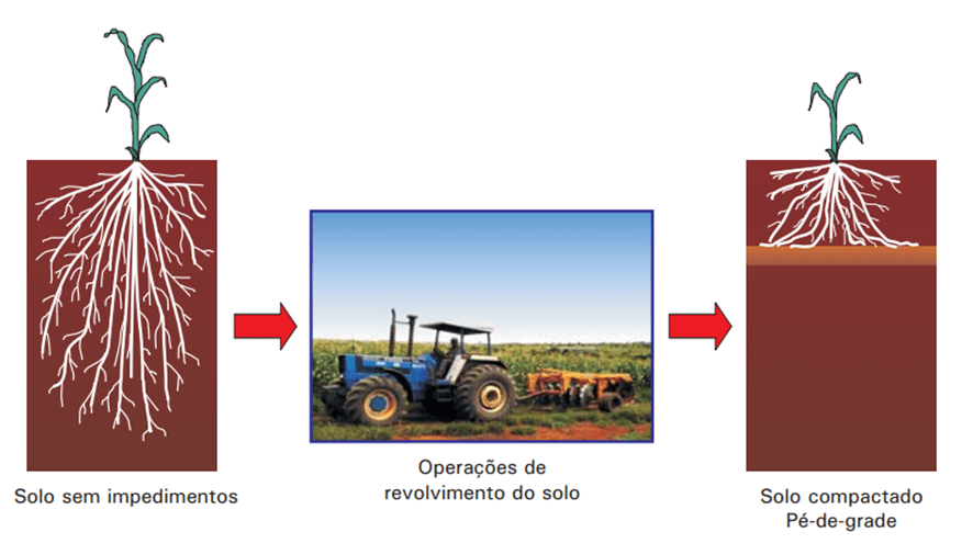 Conservação do solo: riscos da erosão e compactação