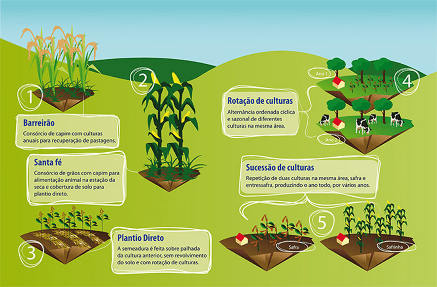 Agricultura Regenerativa como Estratégia para o Sequestro de Carbono