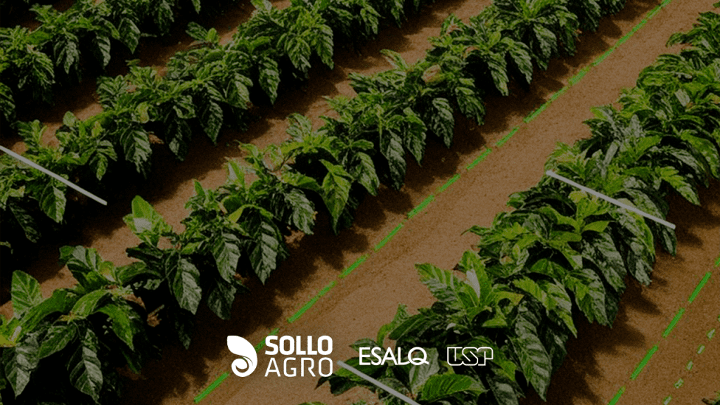 Estudo_de_caso_sobre_agricultura_de_precisao_em_talhoes_cafeeiros Imagem do conteudo SolloAgro