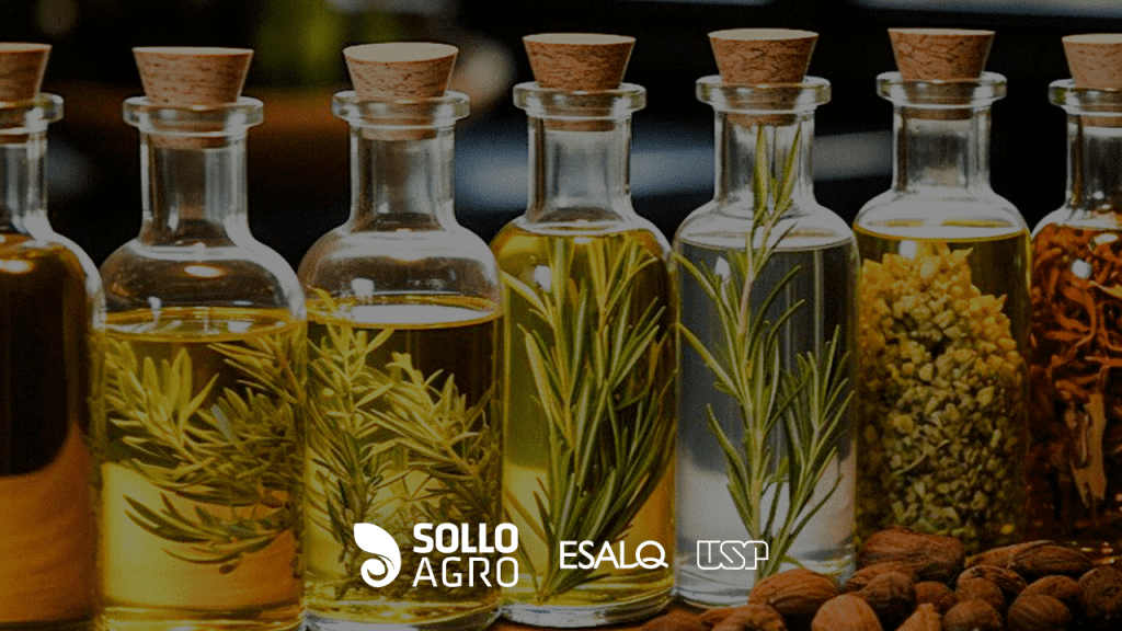 Uso_de_oleos_essenciais_na_agricultura Imagem do conteudo SolloAgro