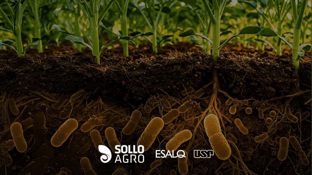 Uso_de_bacterias_na_agricultura Imagem do conteudo SolloAgro