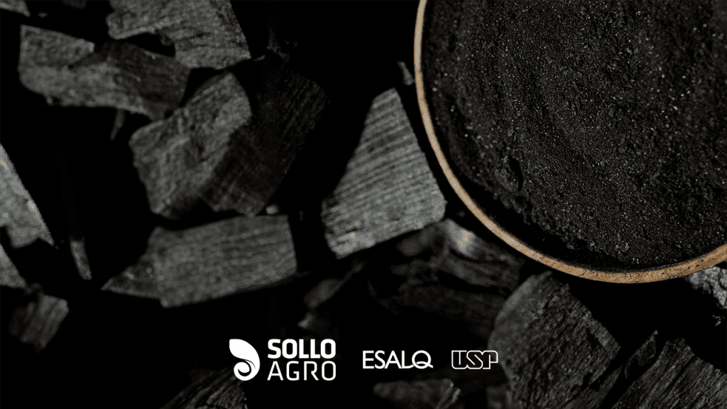Mobilidade_e_estabilidade_termica_de_carbono_em_latossolo_condicionado_com_micro_e_nanobiocarvao Imagem do conteudo SolloAgro