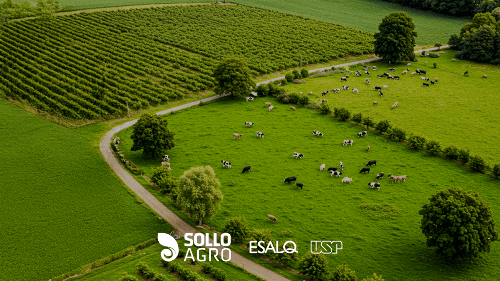 Balanco_de_Nutrientes_em_Sistemas_Integrados_de_Producao Imagem do conteudo SolloAgro