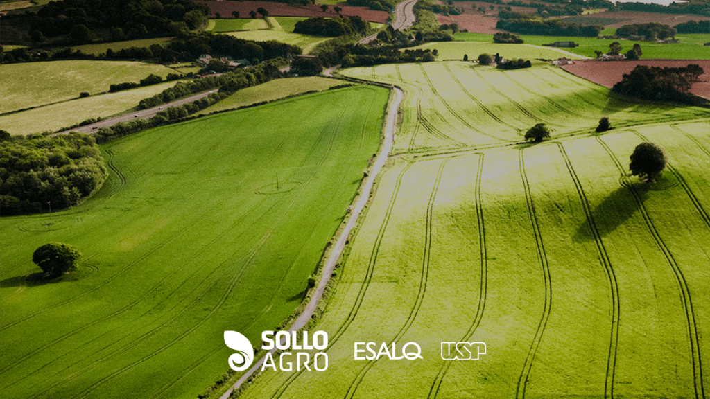 Campos_agricolas_dinamicas_e_transformacoes_no_setor_produtivo Imagem do conteudo SolloAgro