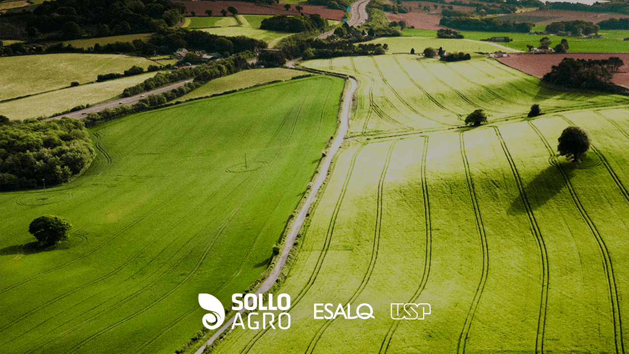 Campos_agricolas_dinamicas_e_transformacoes_no_setor_produtivo Imagem do artigo do Blog SolloAgro