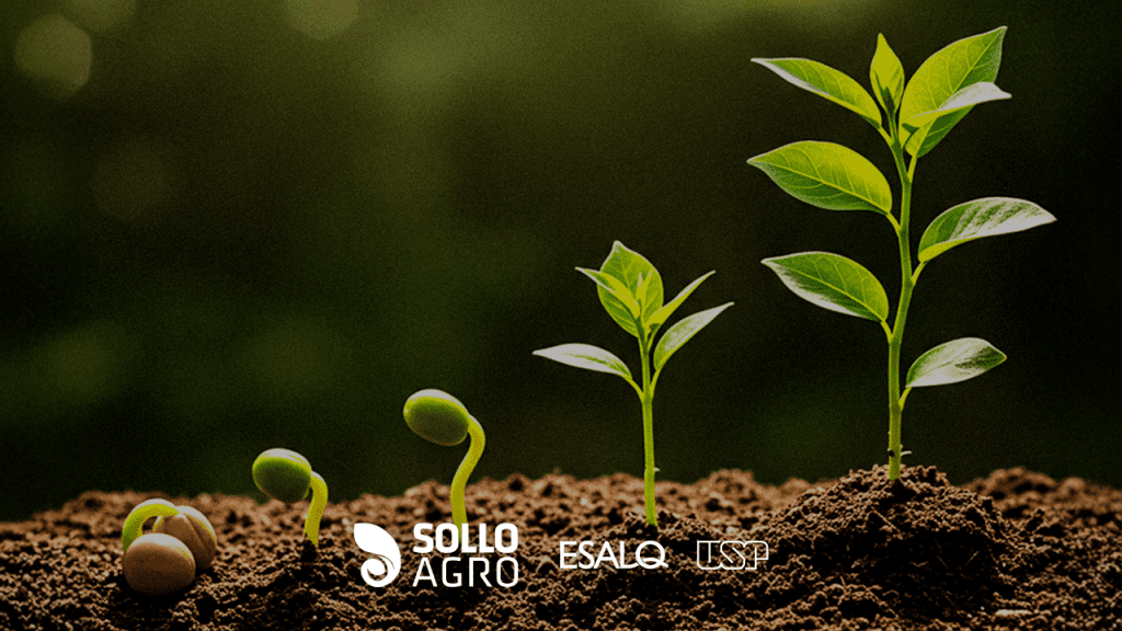 Fitormonios_o_que_sao_como_atuam_e_seu_potencial_no_manejo_agricola Imagem do conteudo SolloAgro