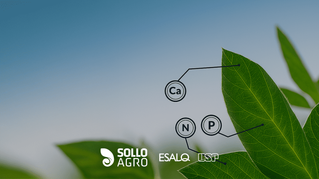 Para_que_serve_a_avaliacao_do_estado_nutricional_das_plantas Imagem do conteudo SolloAgro