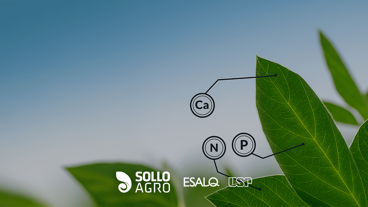 Para_que_serve_a_avaliacao_do_estado_nutricional_das_plantas Imagem do artigo do Blog SolloAgro