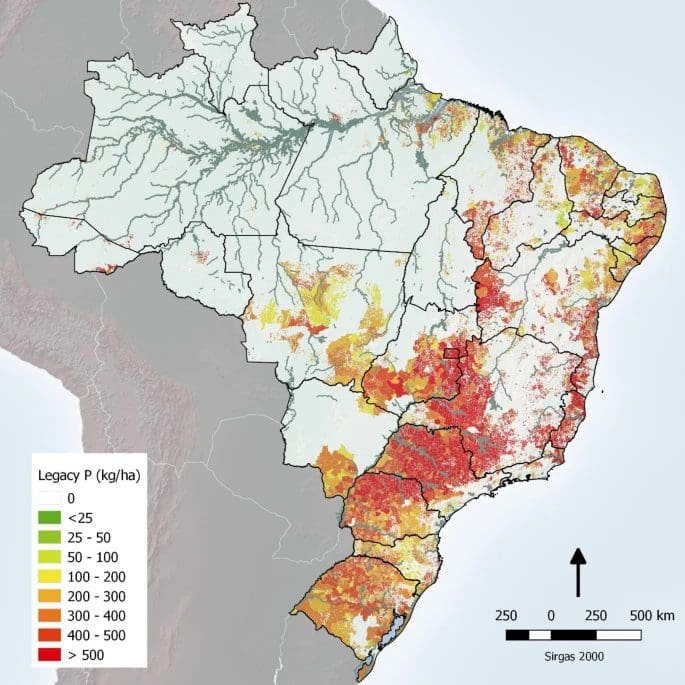 Dinâmica do fósforo sob diferentes manejos do solo
