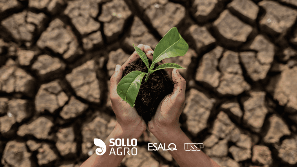 Clima_e_agricultura__como_se_adaptar_a_nova_realidade_climatica_no_campo Imagem do conteudo SolloAgro