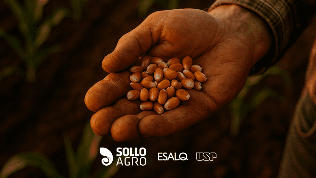 A_importancia_da_qualidade_de_sementes_para_o_sucesso_das_lavouras Imagem do conteudo SolloAgro