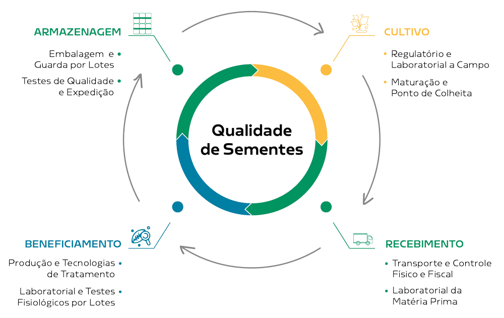 A importância da qualidade de sementes para o sucesso das lavouras