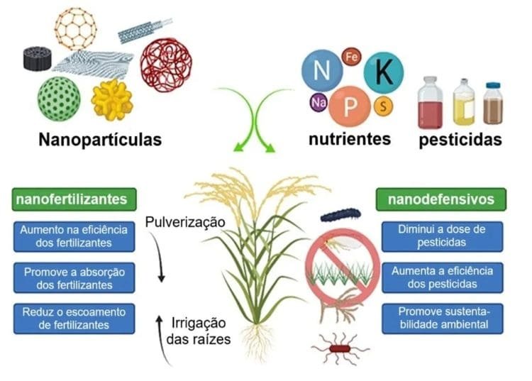 Aplicação de nanotecnologia na agricultura