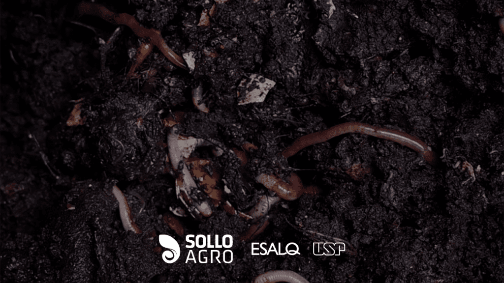 Funções do solo Imagem do conteudo SolloAgro