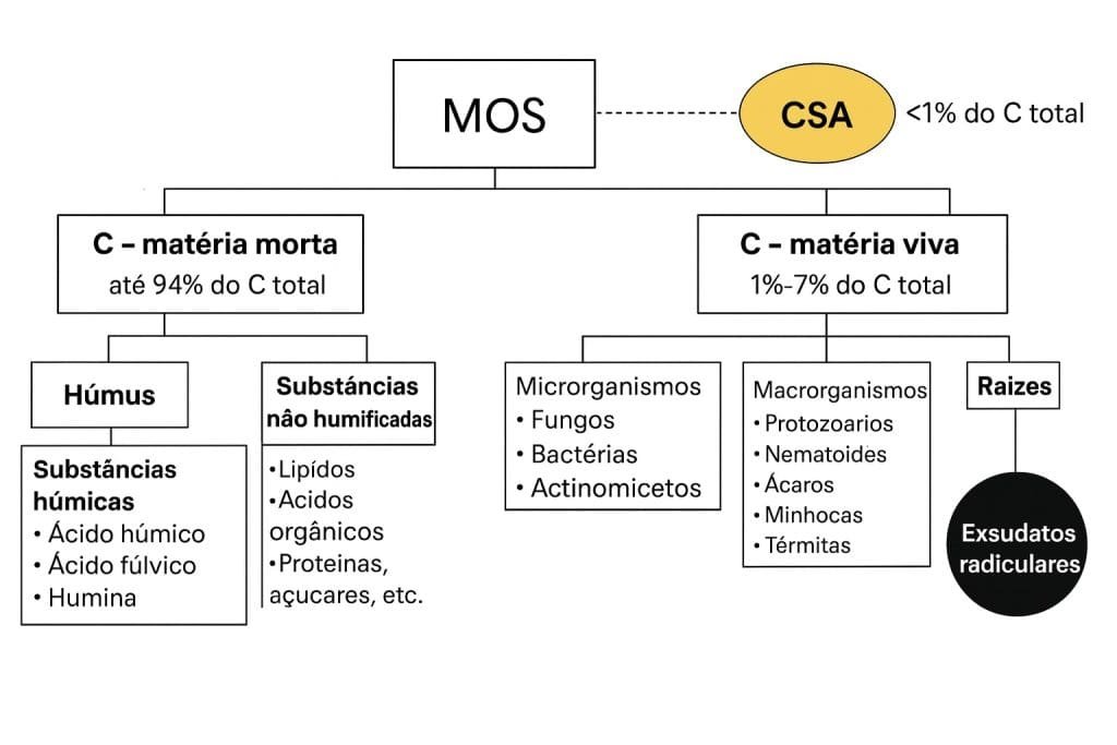 Funções do solo e indicadores de qualidade: o que monitorar para aumentar a sustentabilidade agrícola