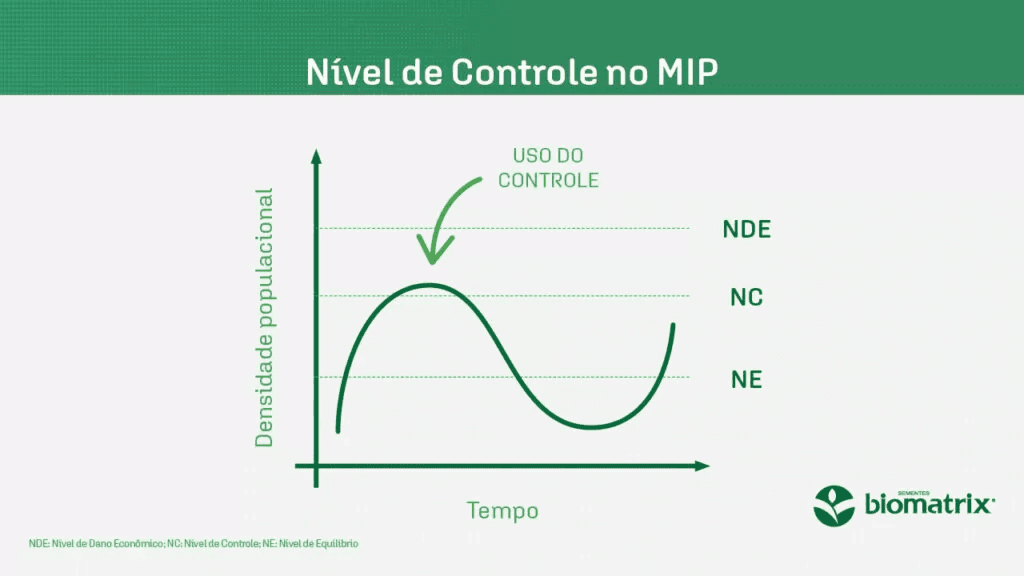 Fitossanidade inteligente: como blindar sua lavoura