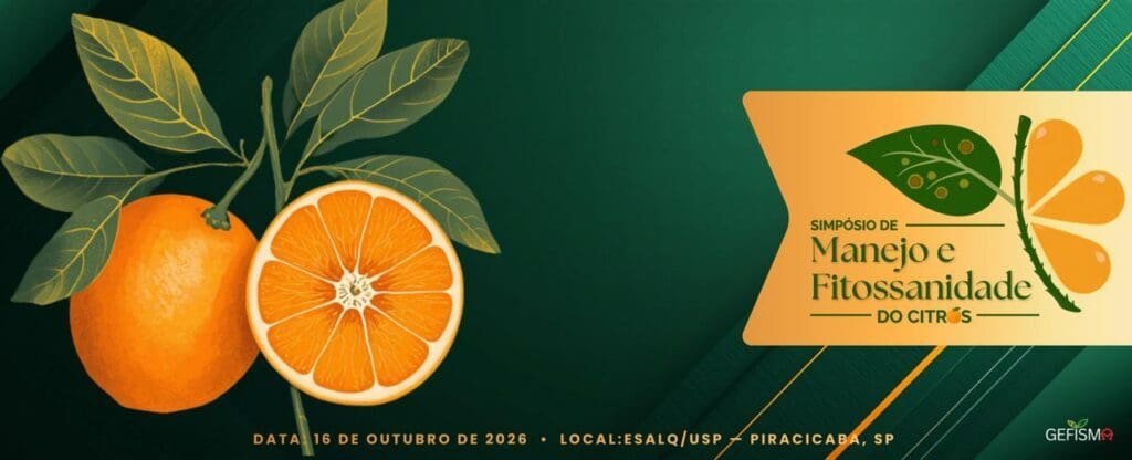 Compactação do solo: quando ela realmente limita a lavoura?